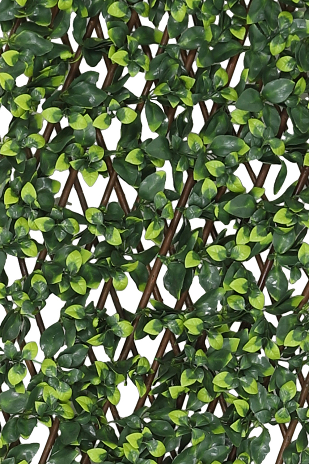 Extendable Artificial Hedging Single Ivy